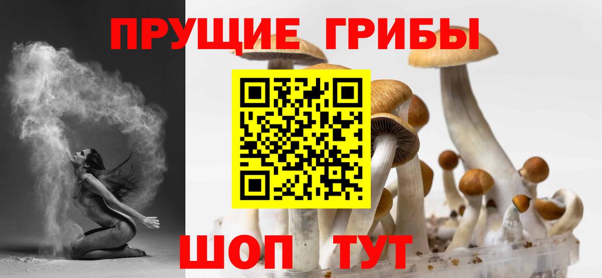 Псилоцибиновые грибы Psilocybine cubensis  Галлюциногенные грибы мухоморы  Красногорск  Вход с VPN 